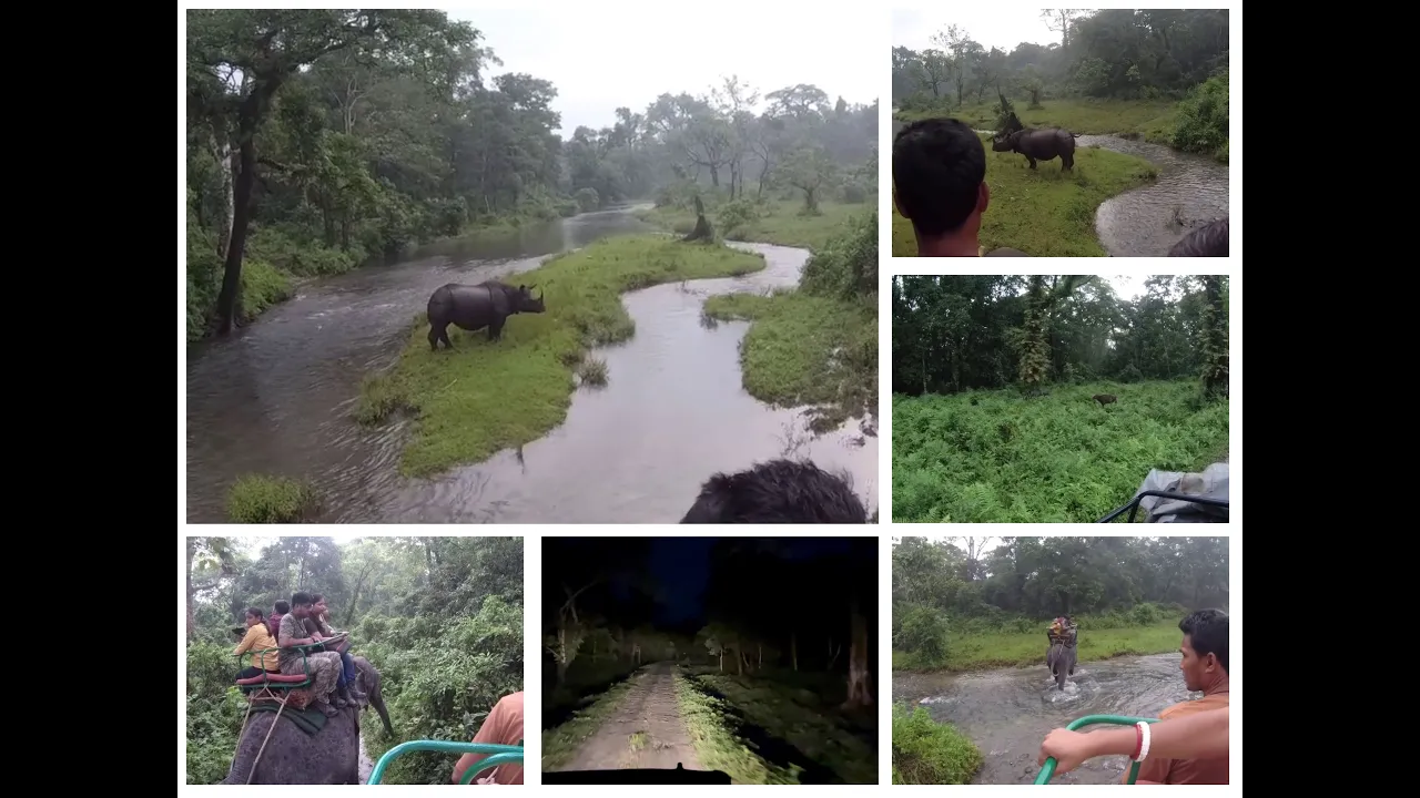 Jaldapara National Park